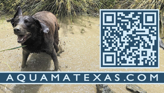 Pet Cremation Texas